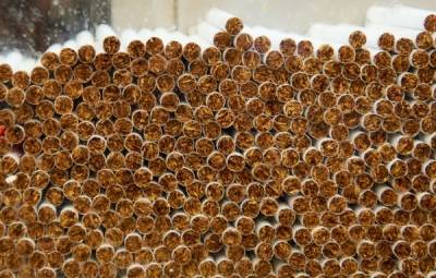 Россельхознадзор разрешил поставки табачного сырья из ЮАР