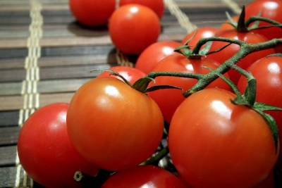Россельхознадзор запретил ввезти в Петербург из Беларуси 117 тонн зараженных томатов