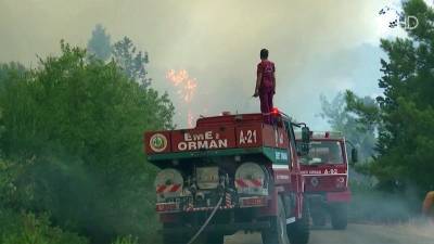 МИД РФ следит за ситуацией с пожарами в Турции и находится в контакте с властями страны