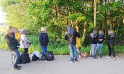Эстония направит в Литву беспилотники для борьбы с мигрантами на границе с Беларусью