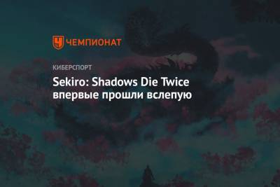 Sekiro: Shadows Die Twice впервые прошли вслепую