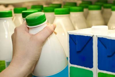 В скором времени вырастут цены на молоко, сметану, творог, сыр и масло