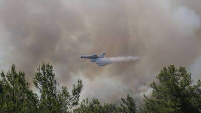 В Турции локализовали 70 очагов лесных пожаров из 81