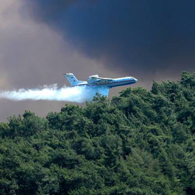 Турецкие пожарные смогли локализовать большинство очагов лесных пожаров
