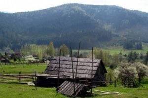 Село на Прикарпатье закрыли на карантин из-за инфекции