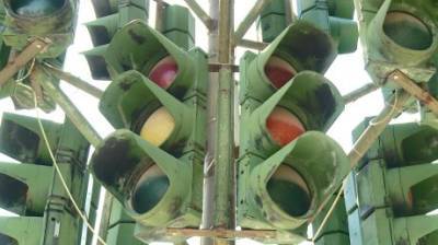 «Светофорное дерево» в Пензе отметило 10-летний юбилей - penzainform.ru - Пенза