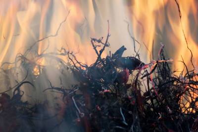 Жительница Ленобласти жгла мусор, а спалила несколько соседских домов и машин