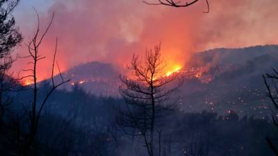Лесные пожары в Турции не напугали российских туристов
