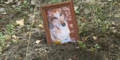 В Рязани разрастаются кладбища домашних животных