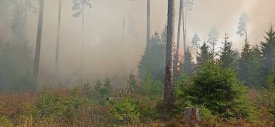 В Карелии локализовали крупные лесные пожары