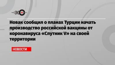 Новак сообщил о планах Турции начать производство российской вакцины от коронавируса «Спутник V» на своей территории