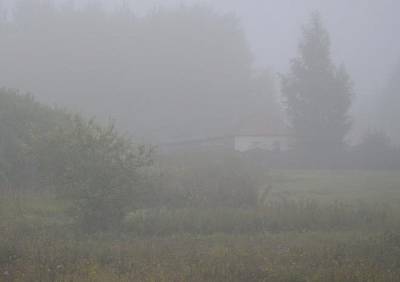 В ночь на субботу Рязанскую область накроет туман