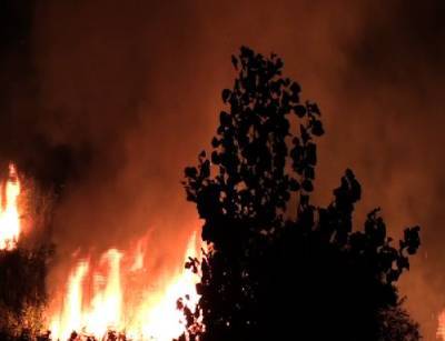 Дончане вынуждены покинуть Турцию из-за лесных пожаров