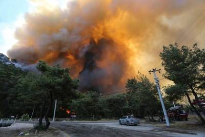Оказавшаяся в эпицентре пожаров в Турции российская актриса рассказала о хаосе - lenta.ru - Россия - Турция
