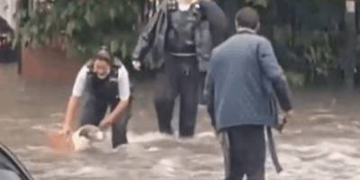 Наводнение в Лондоне: полицейский спешит на помощь собаке
