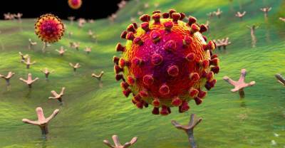 Убить нельзя остановить: Как коронавирус изобретает новые способы защиты от вакцин
