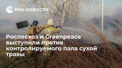 Рослесхоз и Greenpeace выступили против возврата к контролируемому палу сухой травы