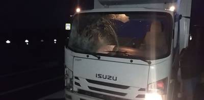 На трассе Курган — Екатеринбург мужчину сбил грузовик