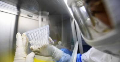 Изобретатель антисептика оценил теорию об утечке коронавируса из лаборатории в Ухани