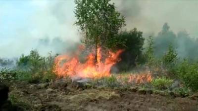 Новости на "России 24". Площадь лесных пожаров в Якутии стремительно растет