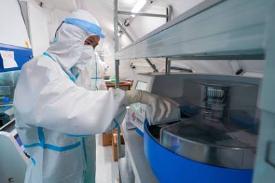 Биолог оценил вероятность утечки коронавируса из лаборатории