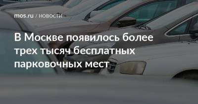 В Москве появилось более трех тысяч бесплатных парковочных мест