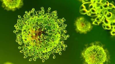 Биологи выяснили, может ли коронавирус менять ДНК человека