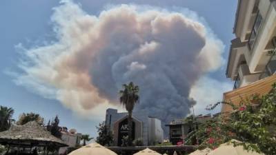 Четыре человека стали жертвами лесных пожаров в Турции