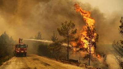 Причина серьёзных лесных пожаров в Турции до сих пор не установлена