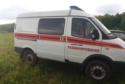 В Арсеньевском районе Тульской области обезврежены боеприпасы времен ВОВ