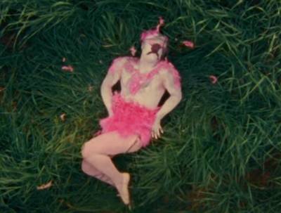Публицист Евгений Понасенков снялся в клипе на ремейк песни «Розовый фламинго»