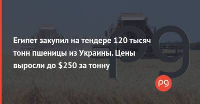 Египет закупил на тендере 120 тысяч тонн пшеницы из Украины. Цены выросли до $250 за тонну