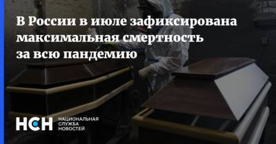 В России в июле зафиксирована максимальная смертность за всю пандемию