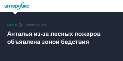 Анталья из-за лесных пожаров объявлена зоной бедствия