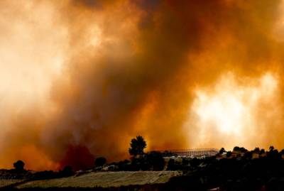 Пожары в Турции: огонь продолжает бушевать в пяти провинциях. Их объявили зонами бедствия