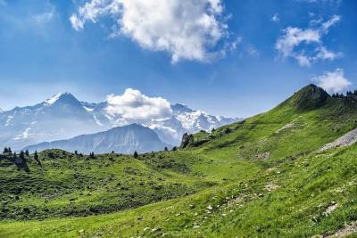 Горы, хорошая экология, шоколад: секреты долголетия швейцарцев