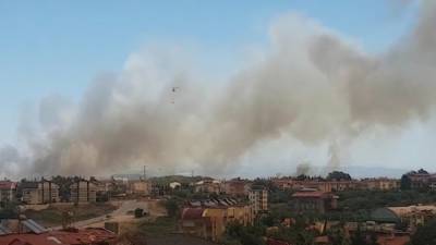 Россия продолжит помогать Турции в тушении лесных пожаров