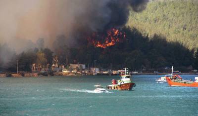 Эрдоган объявил турецкую Анталью зоной бедствия из-за лесных пожаров