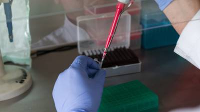 Ученые Ульяновска представили тест-систему, выявляющую одновременно коронавирус и грипп