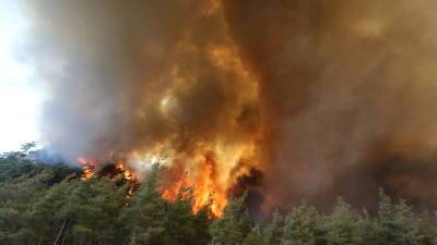 Россия направит в Турцию авиагруппировку для тушения лесных пожаров