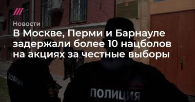 В Москве, Перми и Барнауле задержали более 10 нацболов на акциях за честные выборы