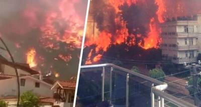 Турция в огне: в Бодруме продолжается эвакуация отелей