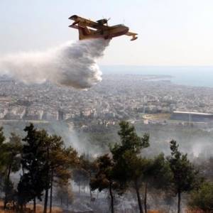Пострадавшие от пожара регионы Турции объявили зонами бедствия