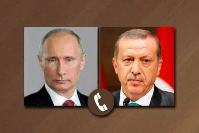 Путин и Эрдоган обсудили ситуацию с лесными пожарами в Турции