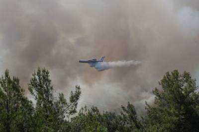 Россия отправит в Турцию самолеты и вертолеты для борьбы с пожарами