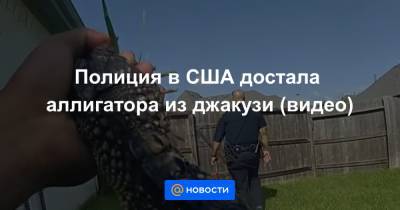 Полиция в США достала аллигатора из джакузи (видео)