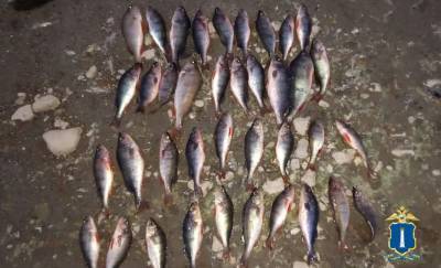 Ульяновскому рыбаку грозит два года тюрьмы за 38 пойманных рыб