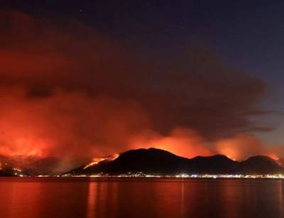 В Турции районы лесных пожаров объявили зонами бедствия: число погибших возросло