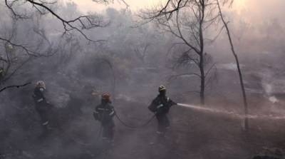 В Греции за последние сутки вспыхнули 46 лесных пожаров