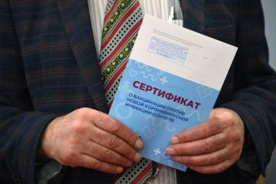 В России появилась новая схема мошенничества с поддельными справками о прививке